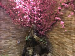 -鸥迪足道(老虎滩店)