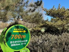 -太阳宫公园