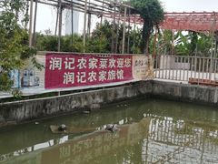 -润记农家菜