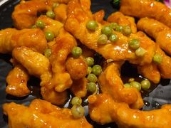 -前海沿·青岛菜(大拇指广场石老人店)