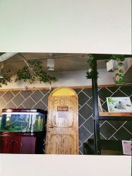 点击看大图 -优优王国儿童摄影(市图书馆店)