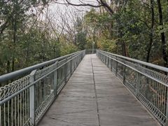 -佛山华盖山公园