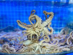 -前王院•巧克力海鲜市集餐厅(万平口店)