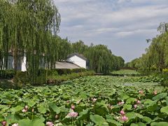 -白洋淀景区