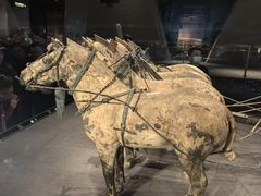 -秦始皇帝陵博物院-丽山园