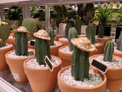 -KKV(深圳宏发大仟里店)