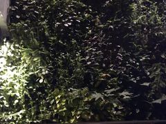 大堂-外婆家(杭州马塍店·杭帮菜名店)