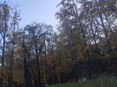 -阳台山自然风景区