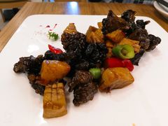 山珍黑参菌-茹·pure vegan(博华广场店)
