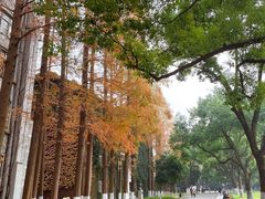 -苏州大学(天赐庄校区)