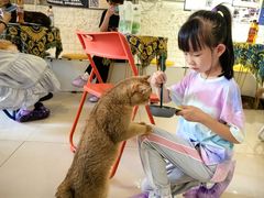 -平行世界·猫咖(首经贸店)