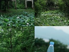 -中国湿地博物馆