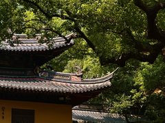 -普陀山风景名胜区-法雨禅寺