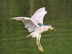 -重庆彩云湖湿地公园