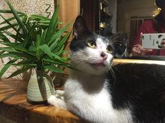 -天水蔬食料理(树德之光店)
