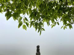-岳阳楼景区