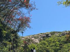 -大围山国家森林公园