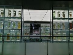 -广东中医药博物馆