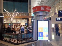 -达拉斯 沃斯堡国际机场