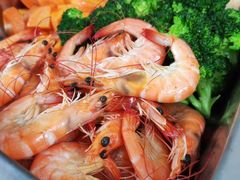 -宠物之家Pets Home 宠物寄养酒店