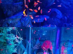 -沈阳海洋探索中心