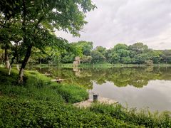 -番禺大夫山森林公园