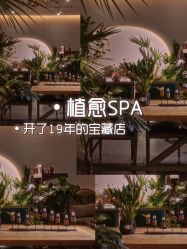 -芳香乐府疗愈空间·SPA·冥想