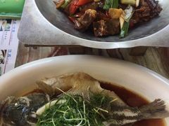 -椿记烧鹅(北门店)