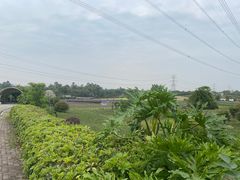 -紫颐香薰山谷景区