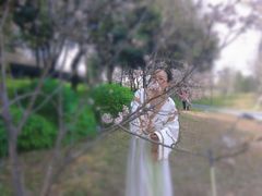-王借岗森林公园