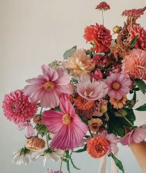 -忆江南婚礼策划(姑苏店)