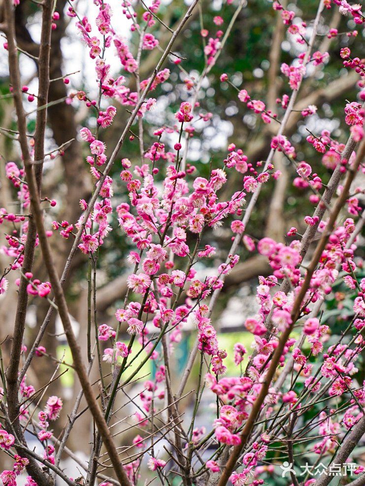 ㊙️涨知识‼️你知道吗？西湖自古也叫“金牛湖”