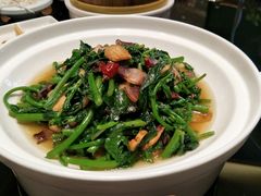 葱油生菜-阿庄新豫菜(航海东路店)