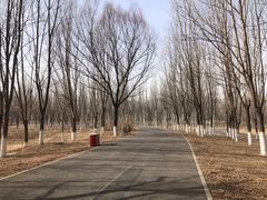 -东郊湿地公园