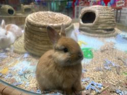 -卡通尼·Safari非洲探索乐园·生日会(金桥国际商业广场店)