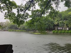 -荔湾湖公园