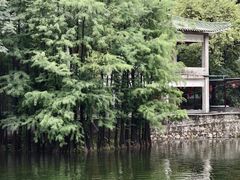 -荔湾湖公园