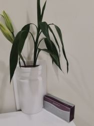 -海涛医疗美容·面部抗衰·注射美鼻