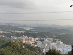 -阳台山森林公园
