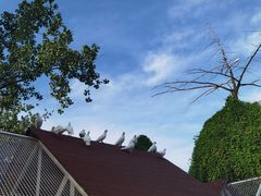 -J Create城市露营咖啡·简餐·宠物(上海动物园店)