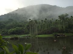 -呀诺达热带雨林