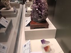 -天津自然博物馆