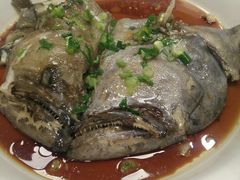 -丁老爷子苏香圆