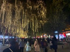 -大雁塔北广场音乐喷泉