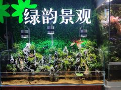 -朝来春花卉市场