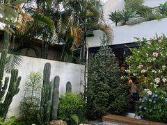 -自由生长植物工作室(深港花卉中心店)