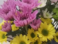 -周黑鸭(天津西青区中北永旺店)