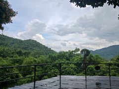 -呀诺达热带雨林