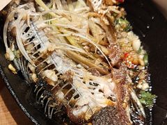 -鸽子窝(黄村店)