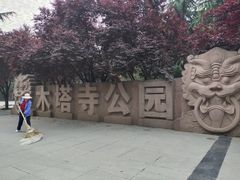 -木塔寺遗址生态公园